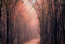 CSS
Introduction to text shadows