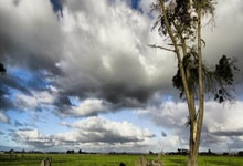 CSS
使用CSS数学函数