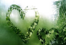 CSS
网格布局和其他布局方法的联系