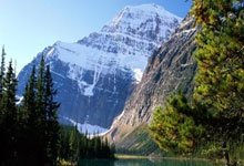 CSS
Textual data types