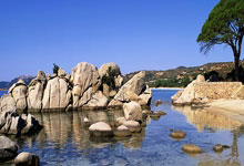 CSS
CSS 属性值定义语法